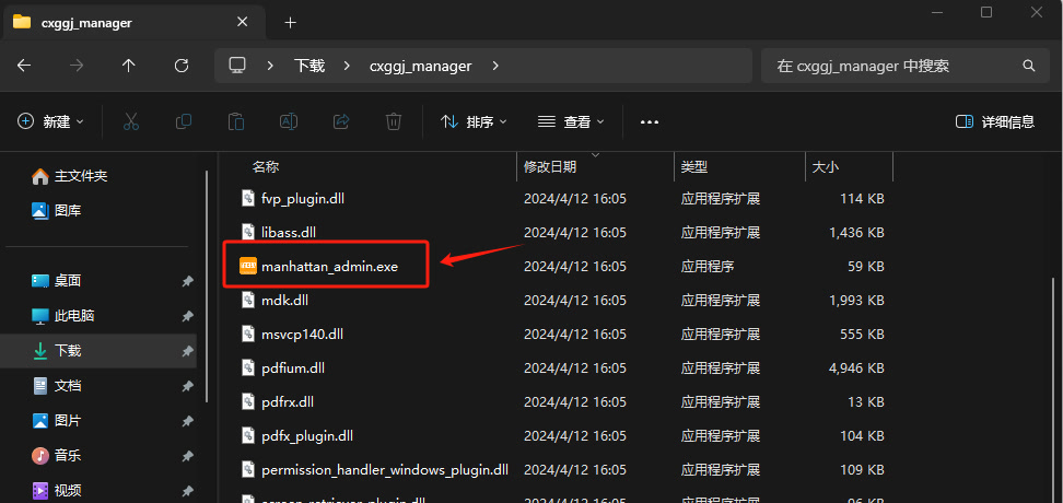 install_manager_windows_run